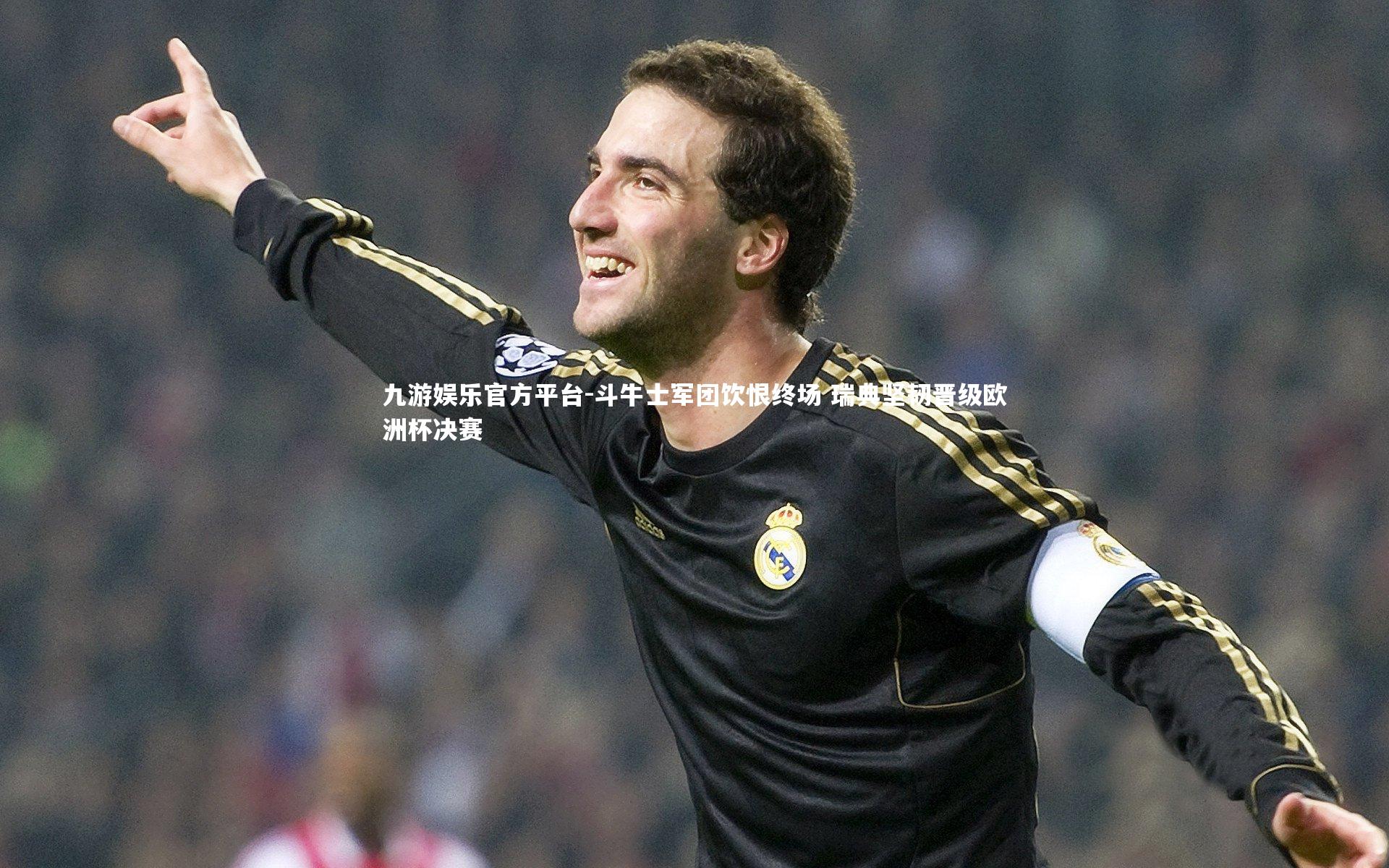 斗牛士军团饮恨终场 瑞典坚韧晋级欧洲杯决赛